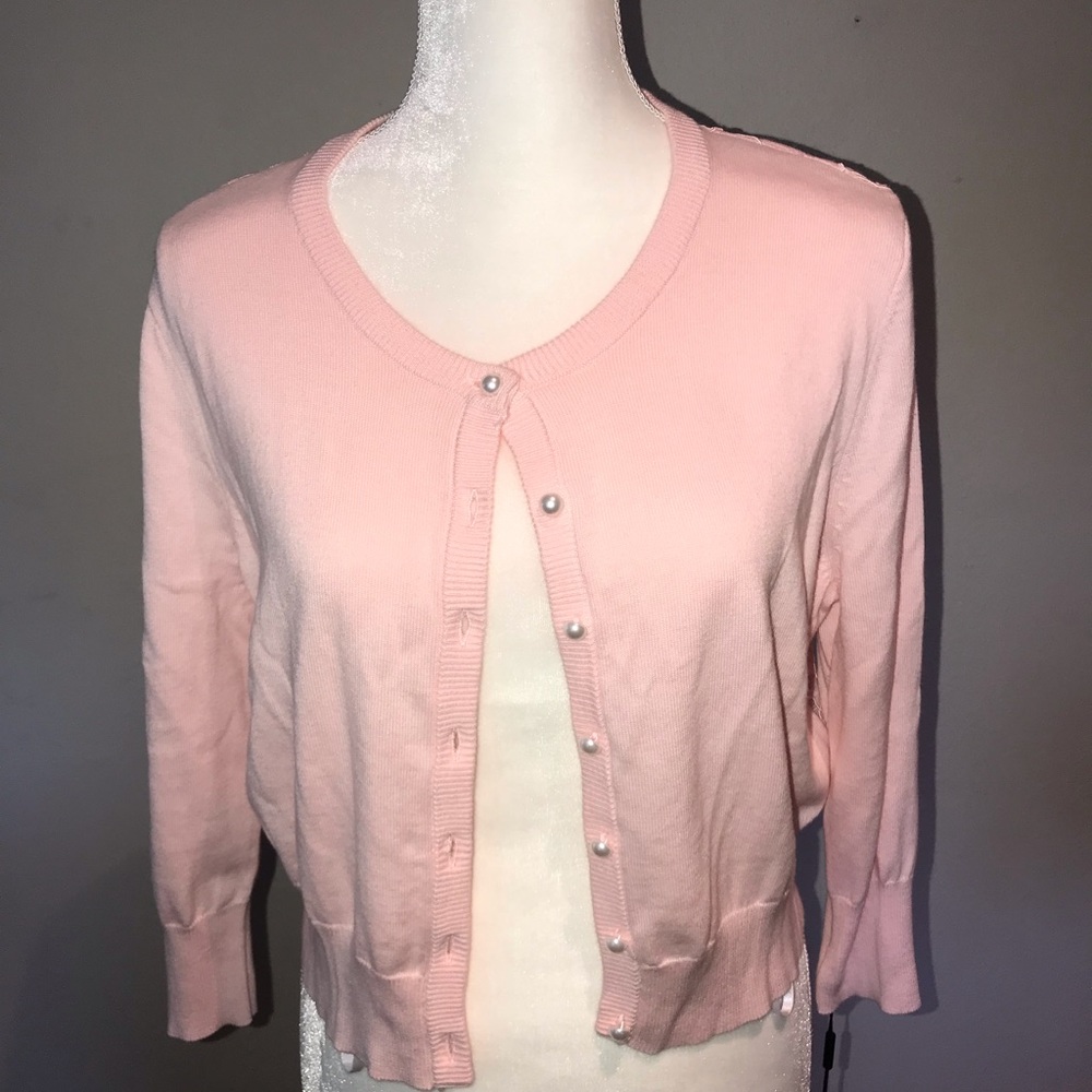 Karl Lagerfeld Paris Pink Sweater NWT Sz L